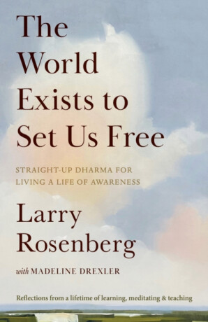 The World Exists to Set Us Free - Larry Rosenberg,Madeline Drexler
