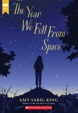 The Year We Fell From Space (Scholastic Gold) - 