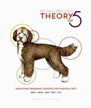 Theory Of 5 - Melissa Verplank