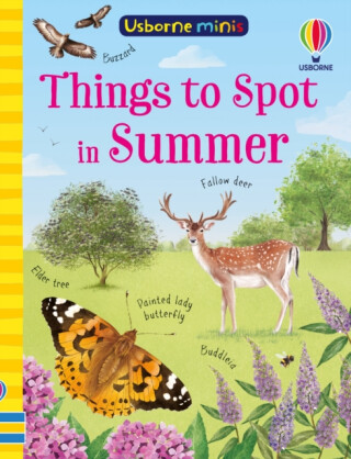 Things to Spot in Summer - Lara Bryan,Kate Nolan