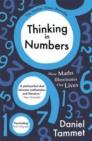 Thinking in Numbers - Tammet Daniel