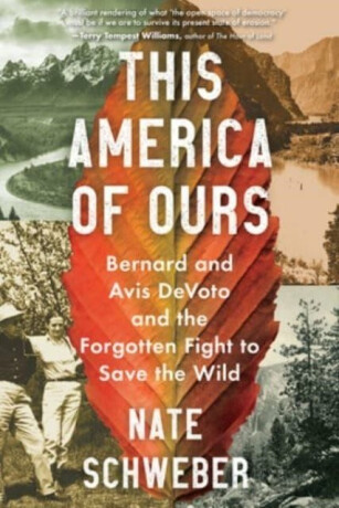 This America of Ours - Nate Schweber