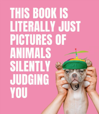 This Book is Literally Just Pictures of Animals Silently Judging You - Smith Street Books