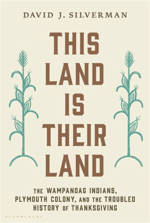 This Land Is Their Land - David J. Silverman
