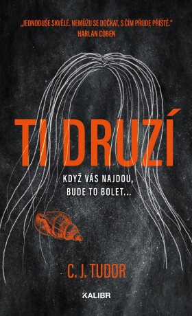 Ti druzí - C. J. Tudor