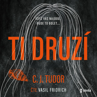Ti druzí - C. J. Tudorová