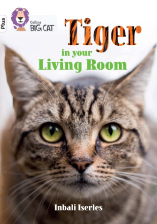Tiger in Your Living Room - Inbali Iserles