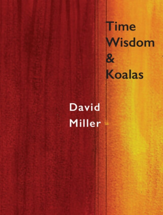 Time, Wisdom, and Koalas - David Miller