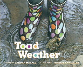 Toad Weather - 