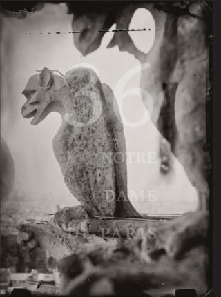 Tomas Van Houtryve: 36 Views of Notre Dame - 