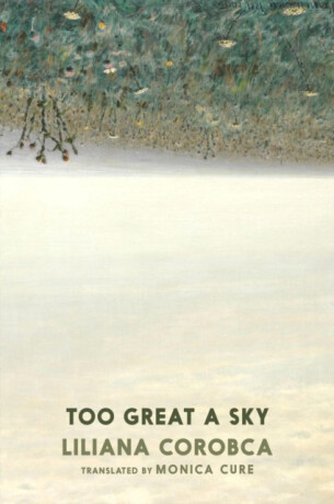 Too Great A Sky - Liliana Corobca