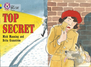 Top Secret - Mick Manning,Brita Granstrom