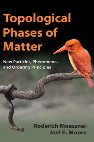 Topological Phases of Matter - Joel E.  Moore,Roderich  Moessner