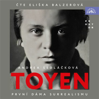 Toyen - Andrea Sedláčková