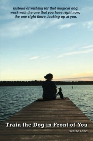Train the Dog in Front of You - Denise Fenzi