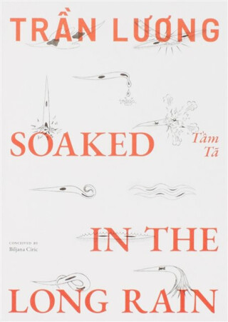 Tran Luong: Soaked in the Long Rain - Tran Luong