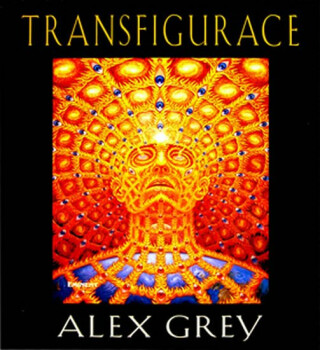 Transfigurace - Grey Alex