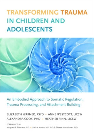 Transforming Trauma in Children and Adolescents - Elizabeth Warner,Heather Finn