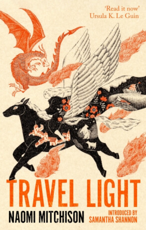 Travel Light - Naomi Mitchison