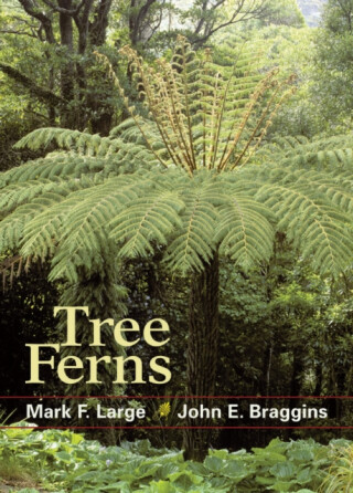 Tree Ferns - John E. Braggins,Mark F. Large