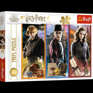 Trefl Puzzle Harry Potter - Ve světě magie a kouzel / 200 dílků - neuveden