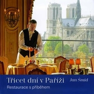 Třicet dní v Paříži - Jan Šmíd