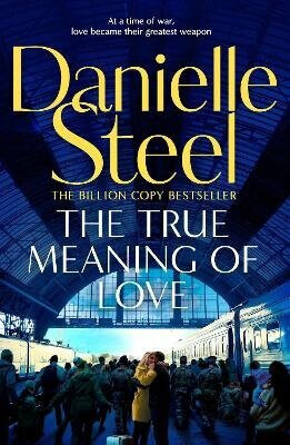True Meaning of Love - Danielle Steel