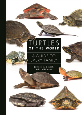 Turtles of the World - Dr. Whit  Gibbons,Jeffrey  Lovich