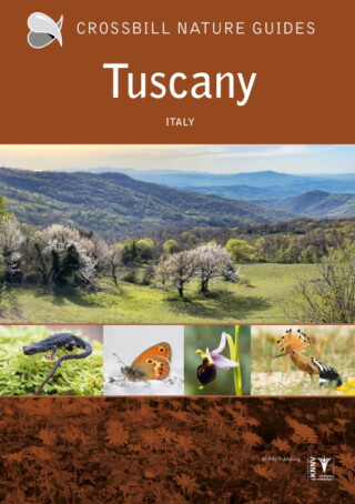 Tuscany - Graham Chisholm