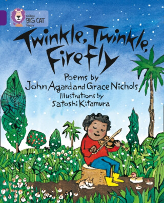 Twinkle, Twinkle, Firefly - Satoshi Kitamura,John Agard,Grace Nichols
