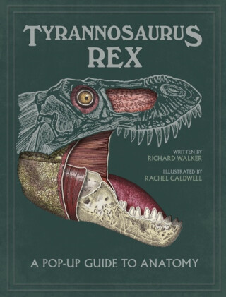 Tyrannosaurus rex - Dixon Dougal