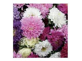 Ubrousek P 33x33 celorok SPM712182 - 