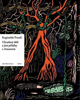 Ukradený déšť a jiné příběhy z Amazonie - Juraj Horváth,kolektiv autorů,Reginaldo Prandi