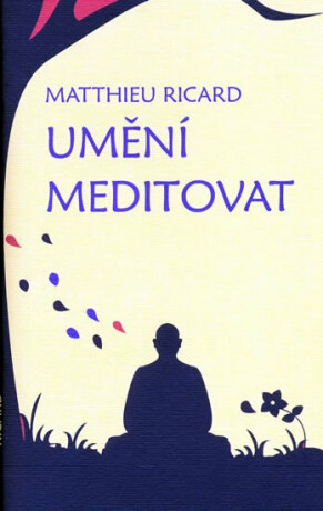 Umění meditovat (Defekt) - Ricard Matthieu