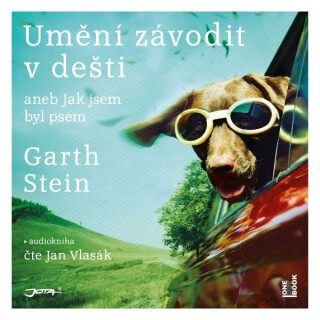 Umění závodit v dešti - Garth Stein