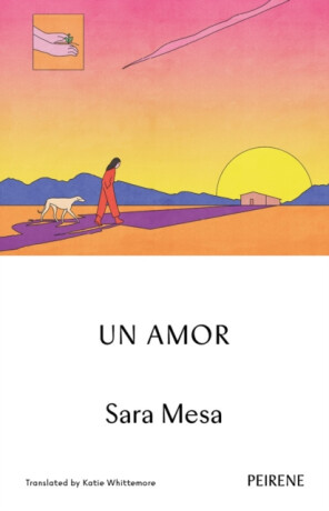 Un Amor - Sara Mesa