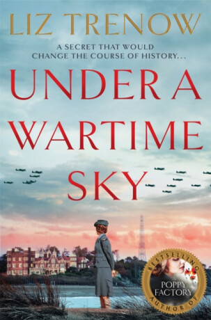 Under a Wartime Sky - Trenow Liz