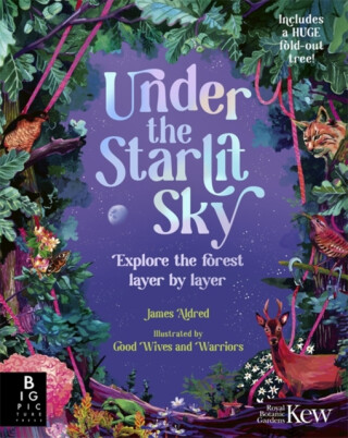 Under the Starlit Sky - James Aldred