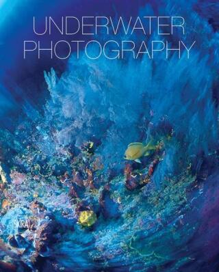 Underwater photography - Vincenzo Paolillo