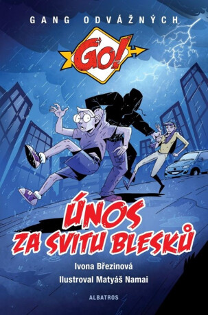 Únos za svitu blesků - Ivona Březinová