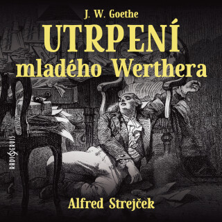 Utrpení mladého Werthera - Johann Wolfgang Goethe