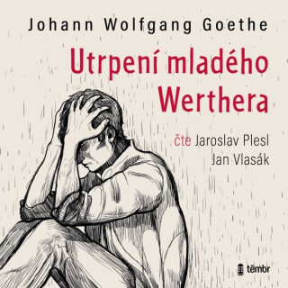 Utrpení mladého Werthera - Johan Wolfgang Goethe