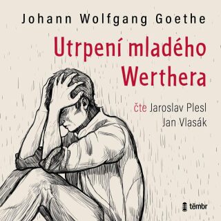 Utrpení mladého Werthera - Jan Vlasák,Johann Wolfgang Goethe,Jaroslav Plesl