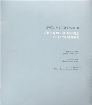 Uvízli v listopadu II. - Robert Janás