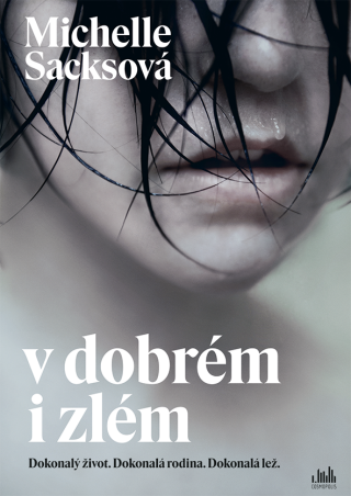 V dobrém i zlém - Michelle Sacks