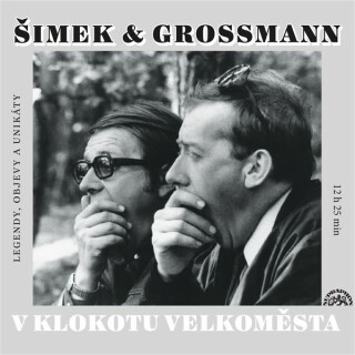 V klokotu velkoměsta - 