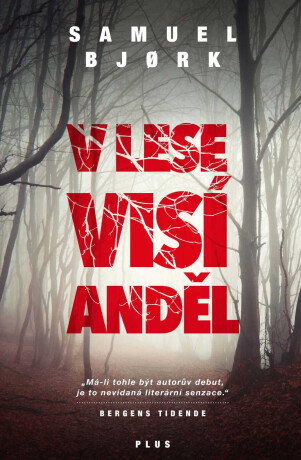 V lese visí anděl - Samuel Bjork