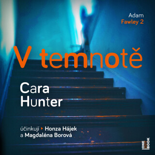V temnotě - Cara Hunterová