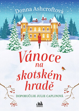 Vánoce na skotském hradě - Donna Ashcroftová