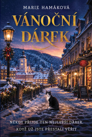 Vánoční dárek - Marie Hamáková